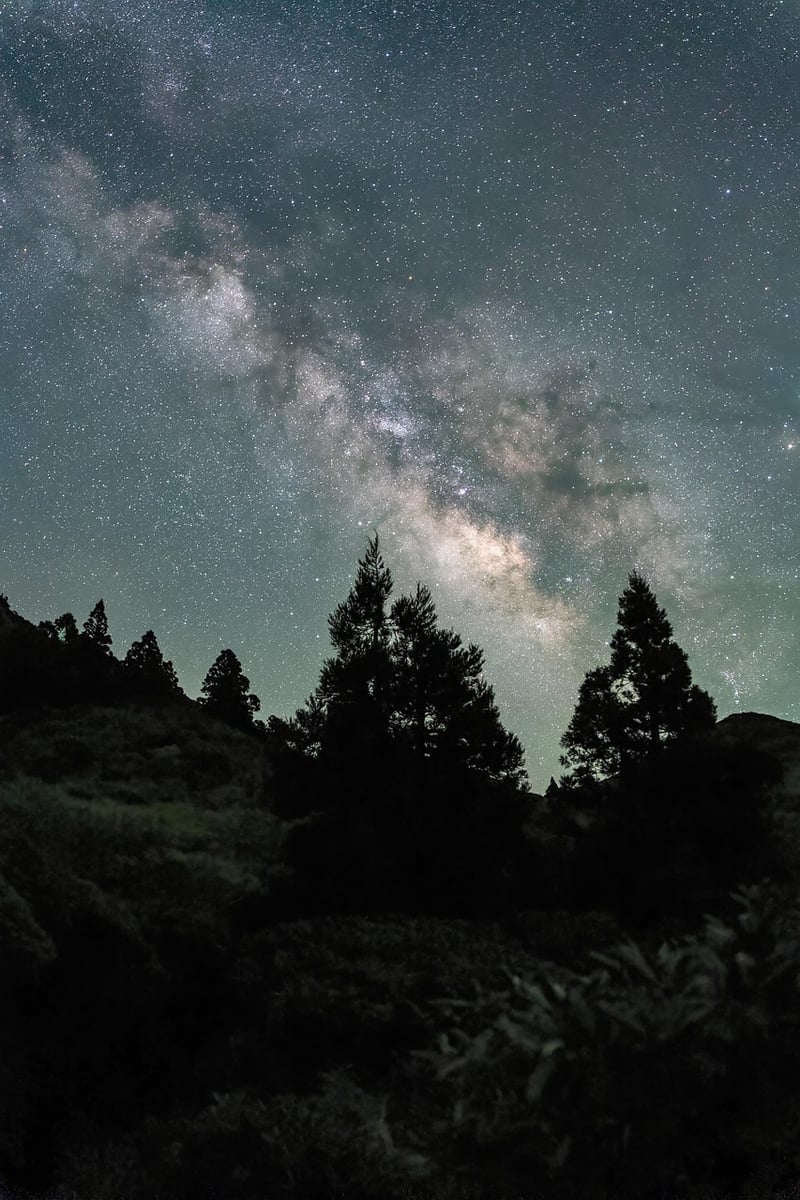 Milky Way Ensemble