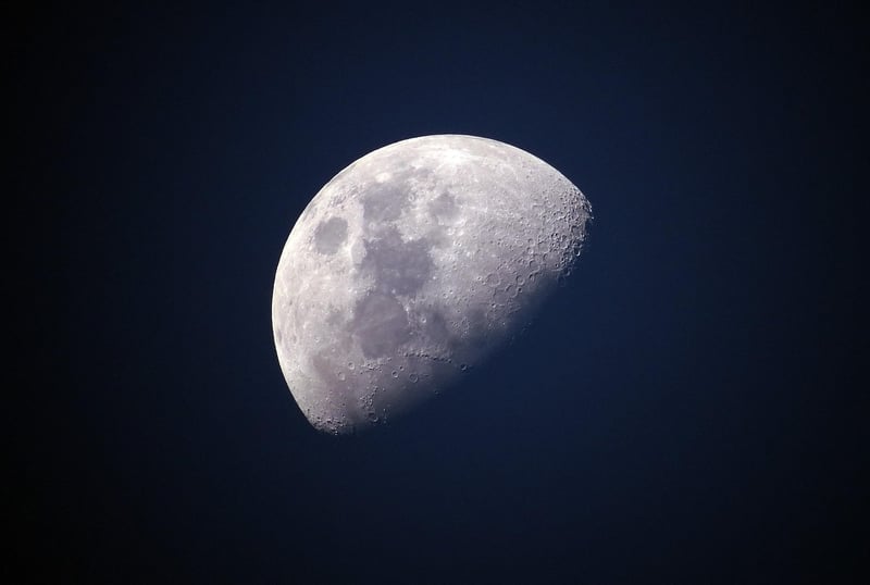 Moon Phase Wall Art